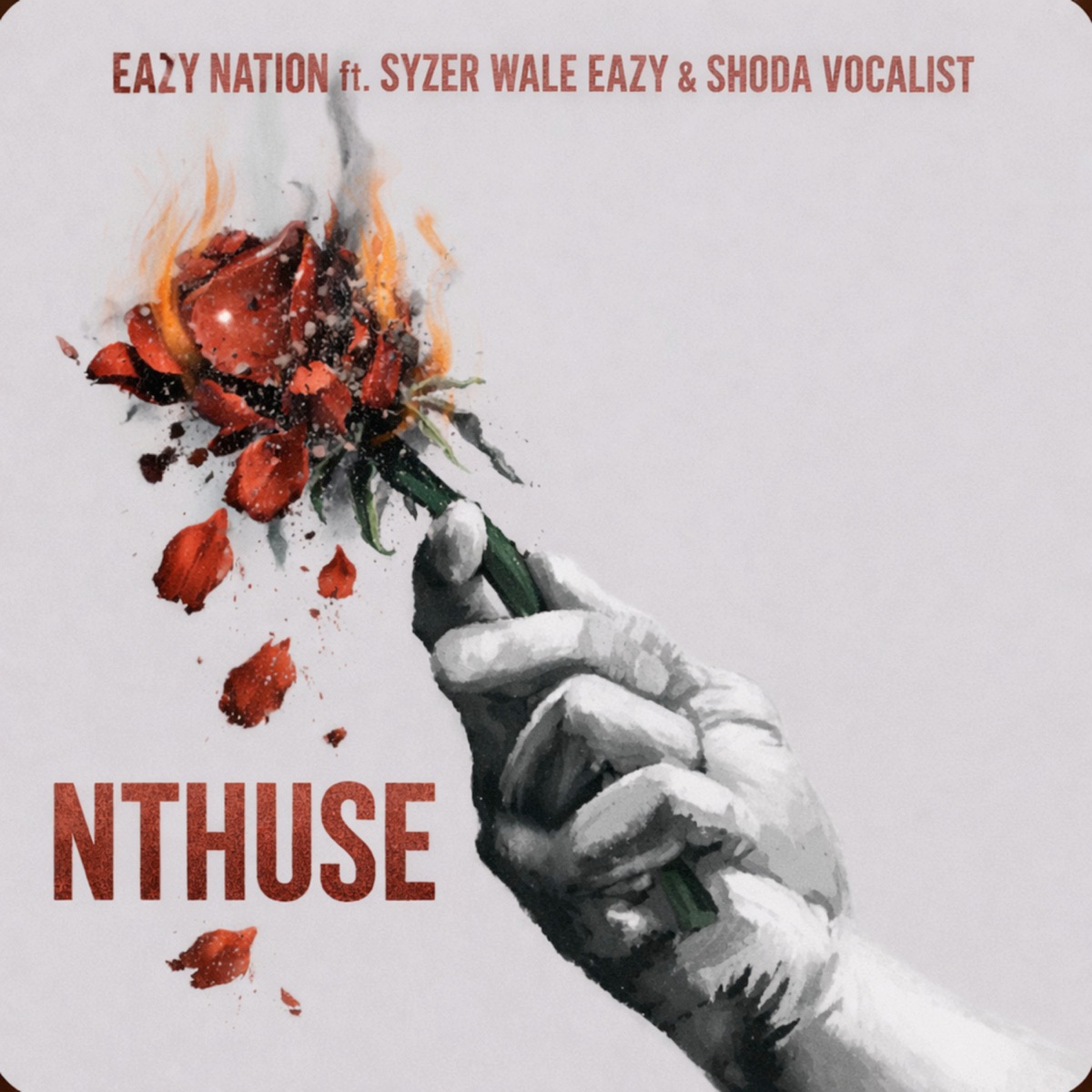 Nthuse (feat. Syzer Wale Eazy & Shoda Vocalist) - Single by Eazy Nation album cover