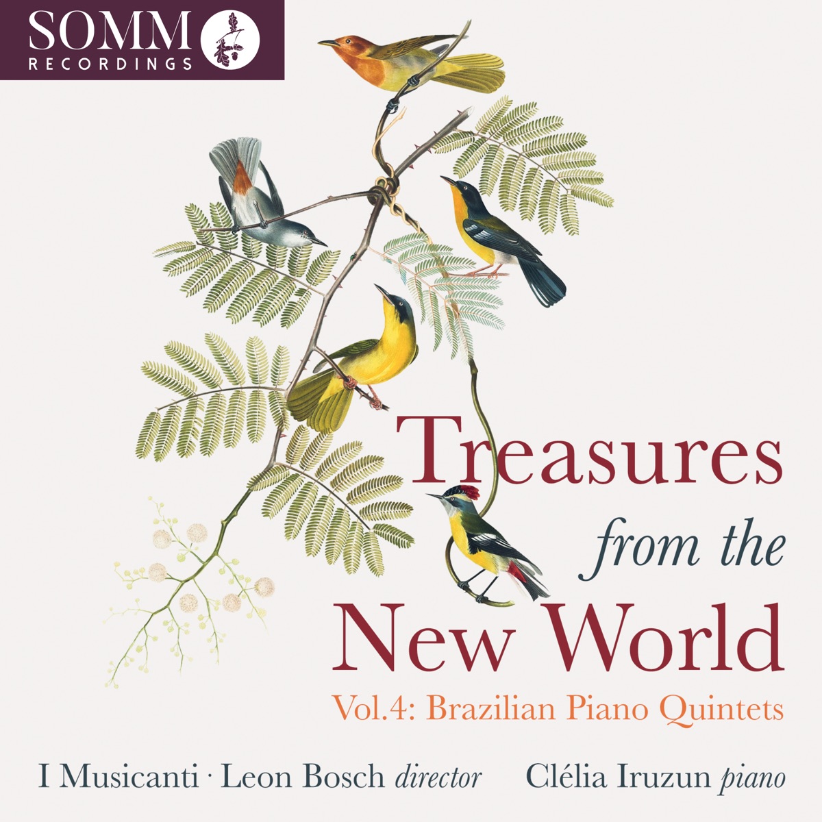 Treasures from the New Works, Vol. 4: Brazilian Piano Quintets by Clélia Iruzun & I Musicanti album cover