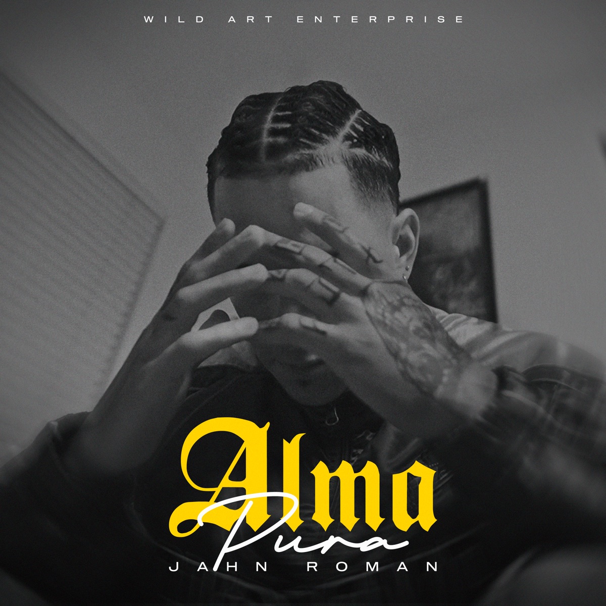 Alma Pura - Single by Jahn Roman album cover