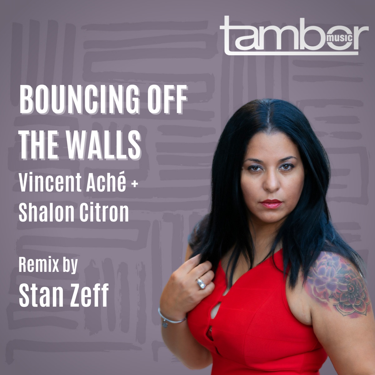 Bouncing off the Walls (Stan Zeff Remix) - Single by Vincent Aché & Shalon Citron album cover