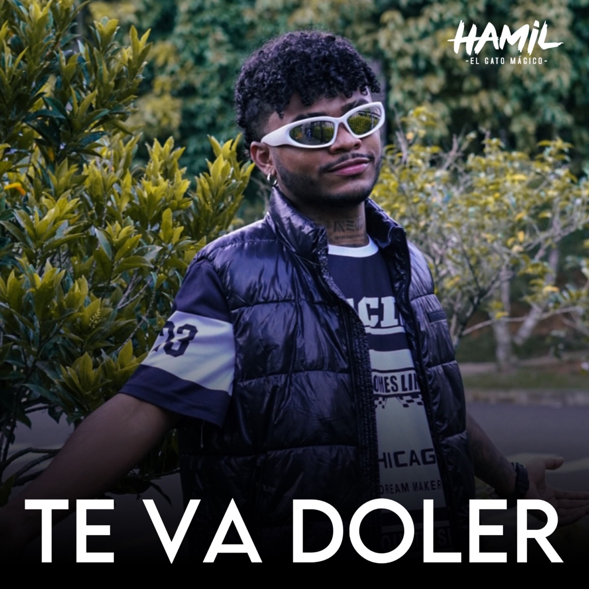 Te Va Doler - Single by Hamil album cover