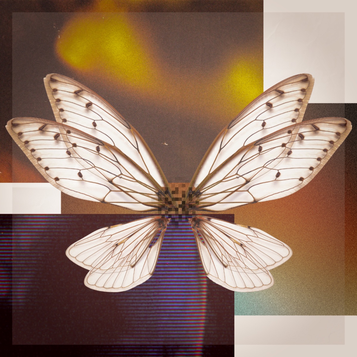 Cicada - Single by Louie El Ser & PEÑA album cover