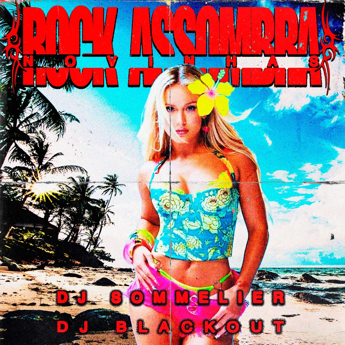 ROCK ASSOMBRA NOVINHAS - Single by DJ BLACKOUT & DJ SOMMELIER O DEGUSTADOR DE XRC album cover