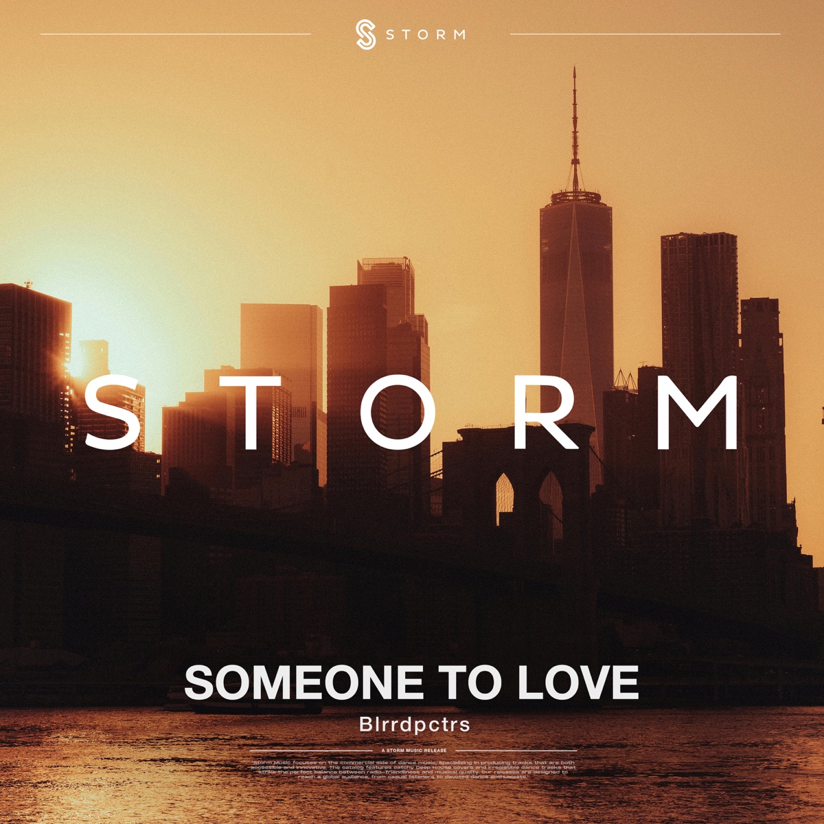 Someone To Love - Single by Blrrdpctrs album cover