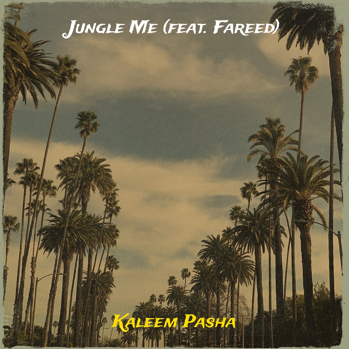 Jungle Me (feat. Fareed) - Single by Kaleem Pasha album cover
