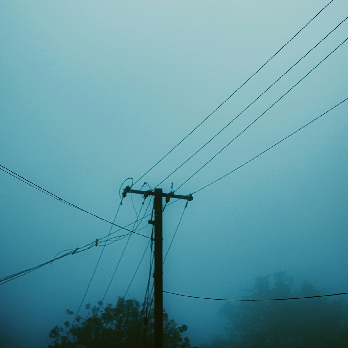 your silence felt like home - Single by inalery album cover