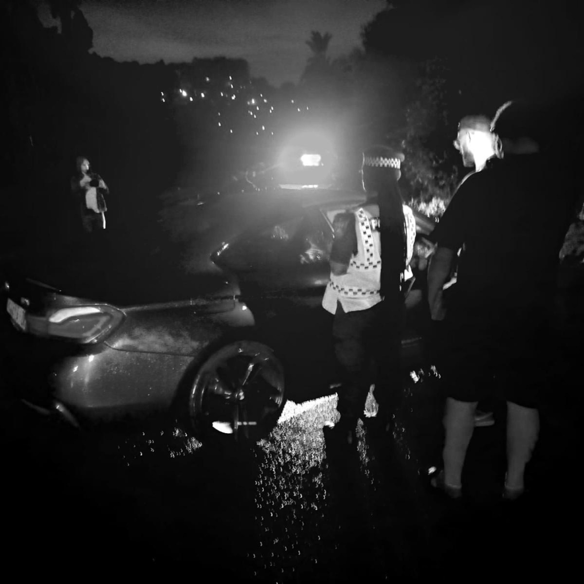 Synth Circus - Single by Riley G album cover