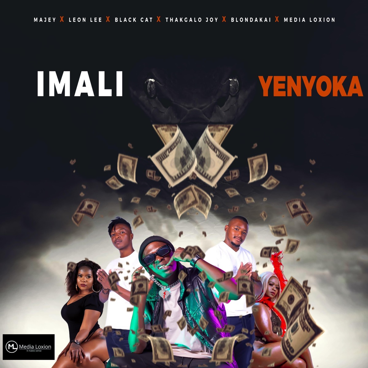 Imali Yenyoka - Single by Majey, Leon Lee, Black Cat, Thakgalo Joy, Blondakai & Media Loxion album cover