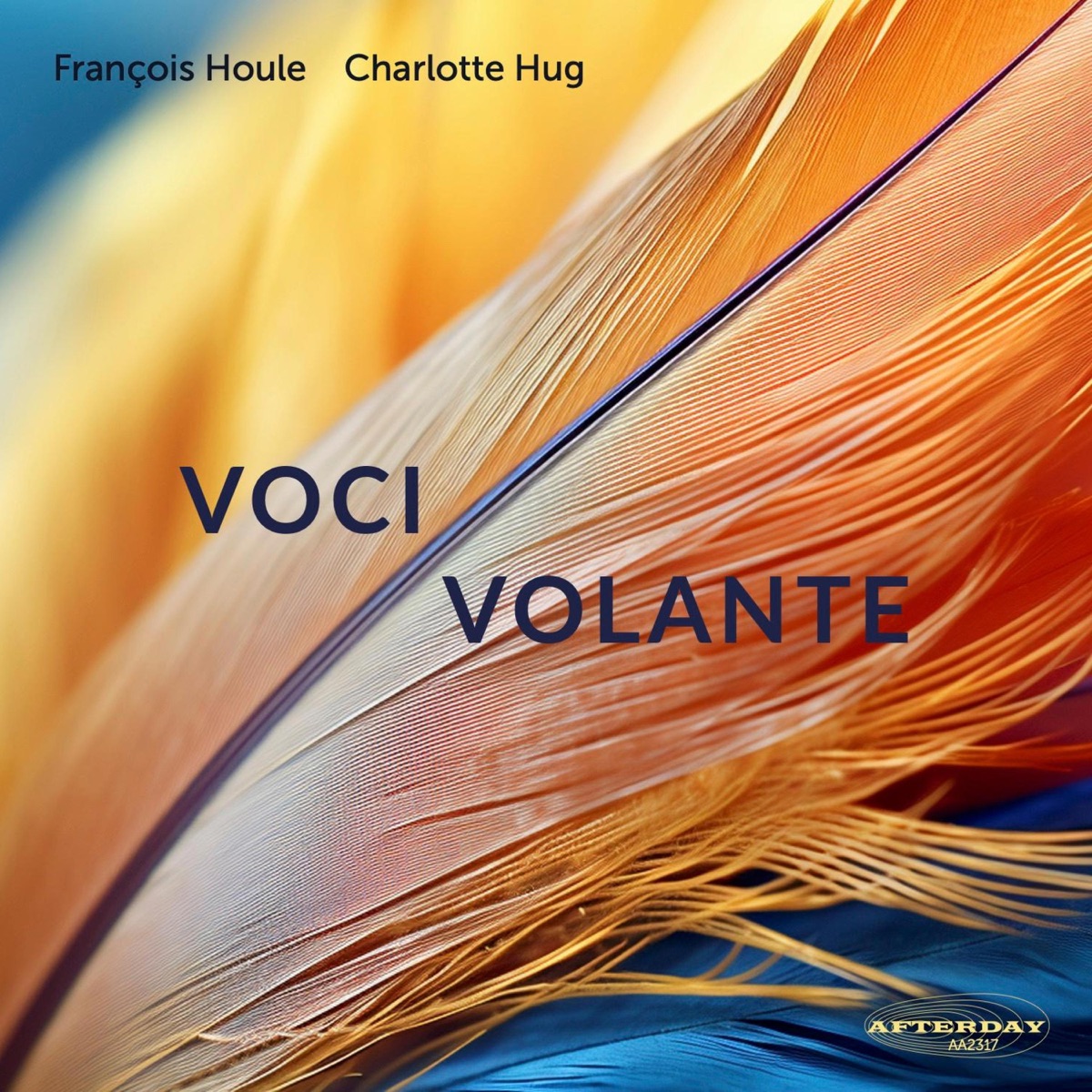 Voci Volante by François Houle & Charlotte Hug album cover