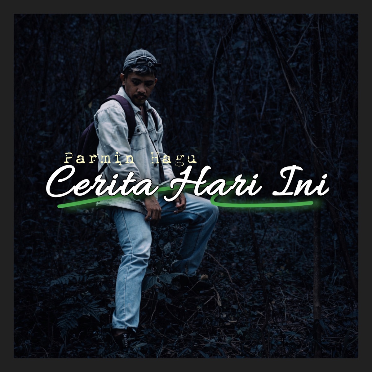 Cerita Hari ini - Single by Parmin Hagu album cover