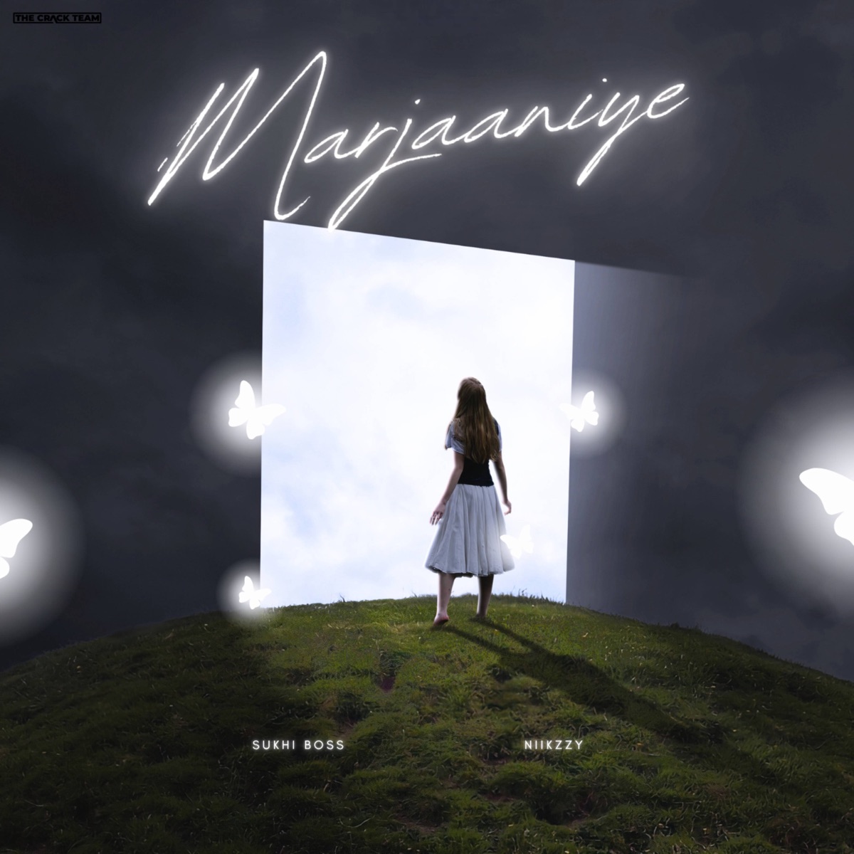 Marjaaniye - Single by Sukhi Boss & Niikzzy album cover