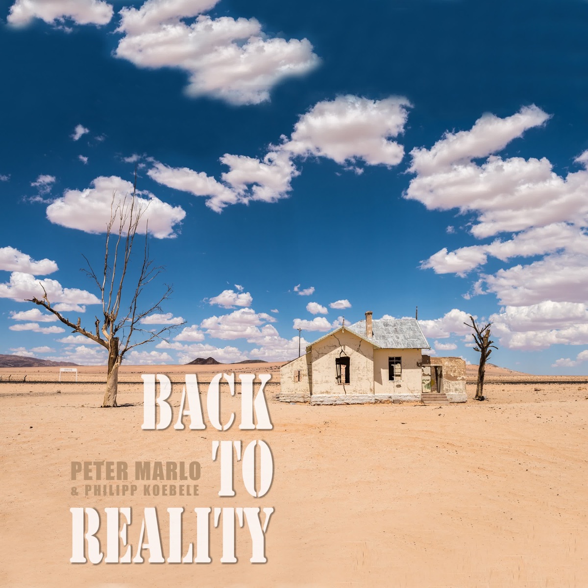 Back To Reality - Single by Peter Marlo & Philipp Koebele album cover