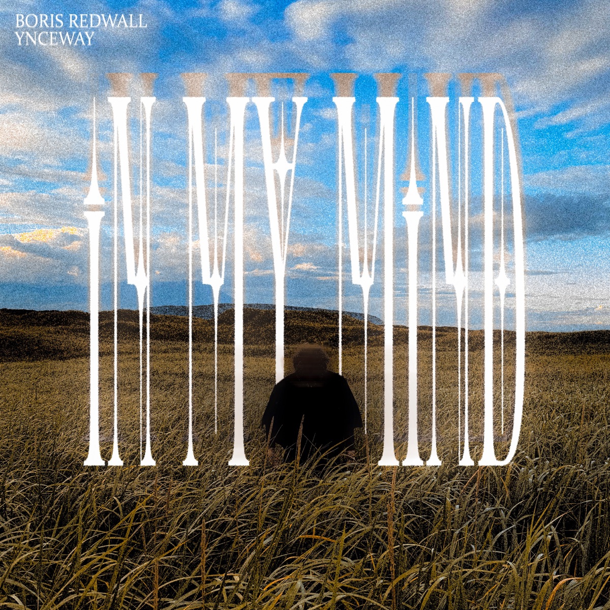 IN MY MIND - Single by BORIS REDWALL & ynceway album cover
