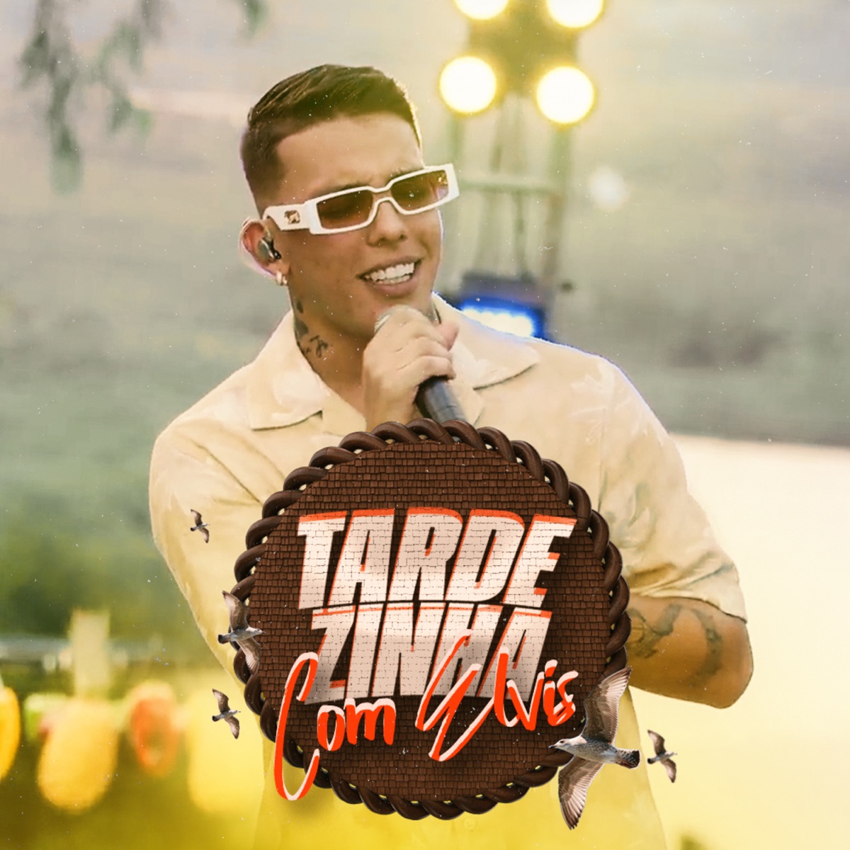 Tardezinha Com Elvis by Mc Elvis album cover