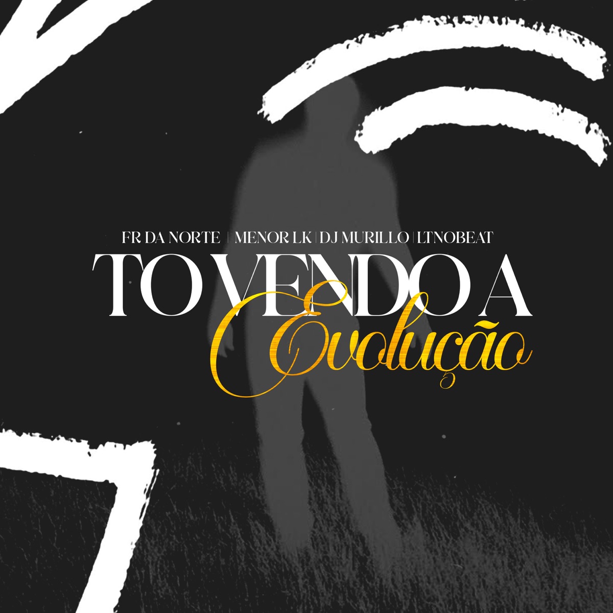 To Vendo A Evolução (feat. Murillo e LT no Beat & MC Fr da Norte) - Single by Mc Menor Lk album cover