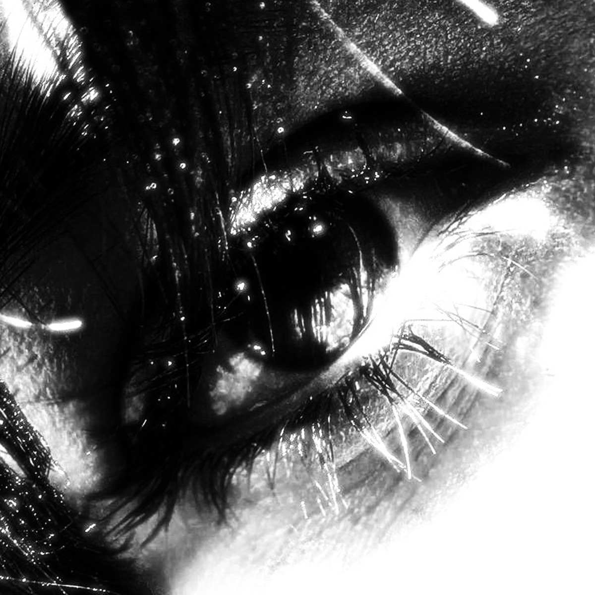 vacant - Single by everwilt album cover