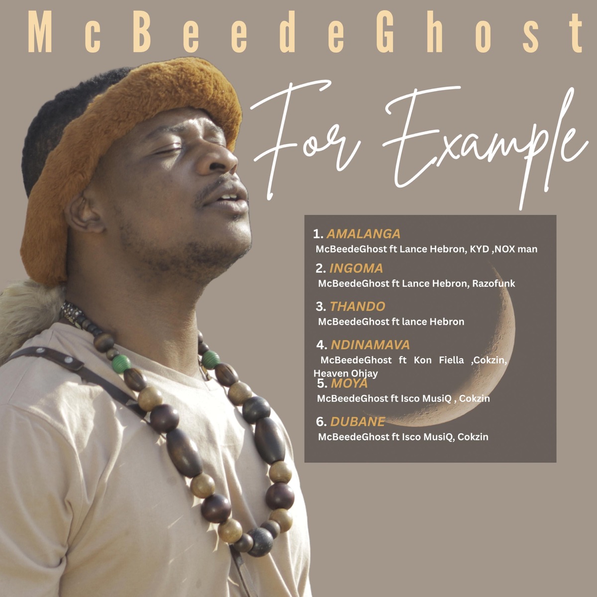 For Example by McBeedeGhost album cover