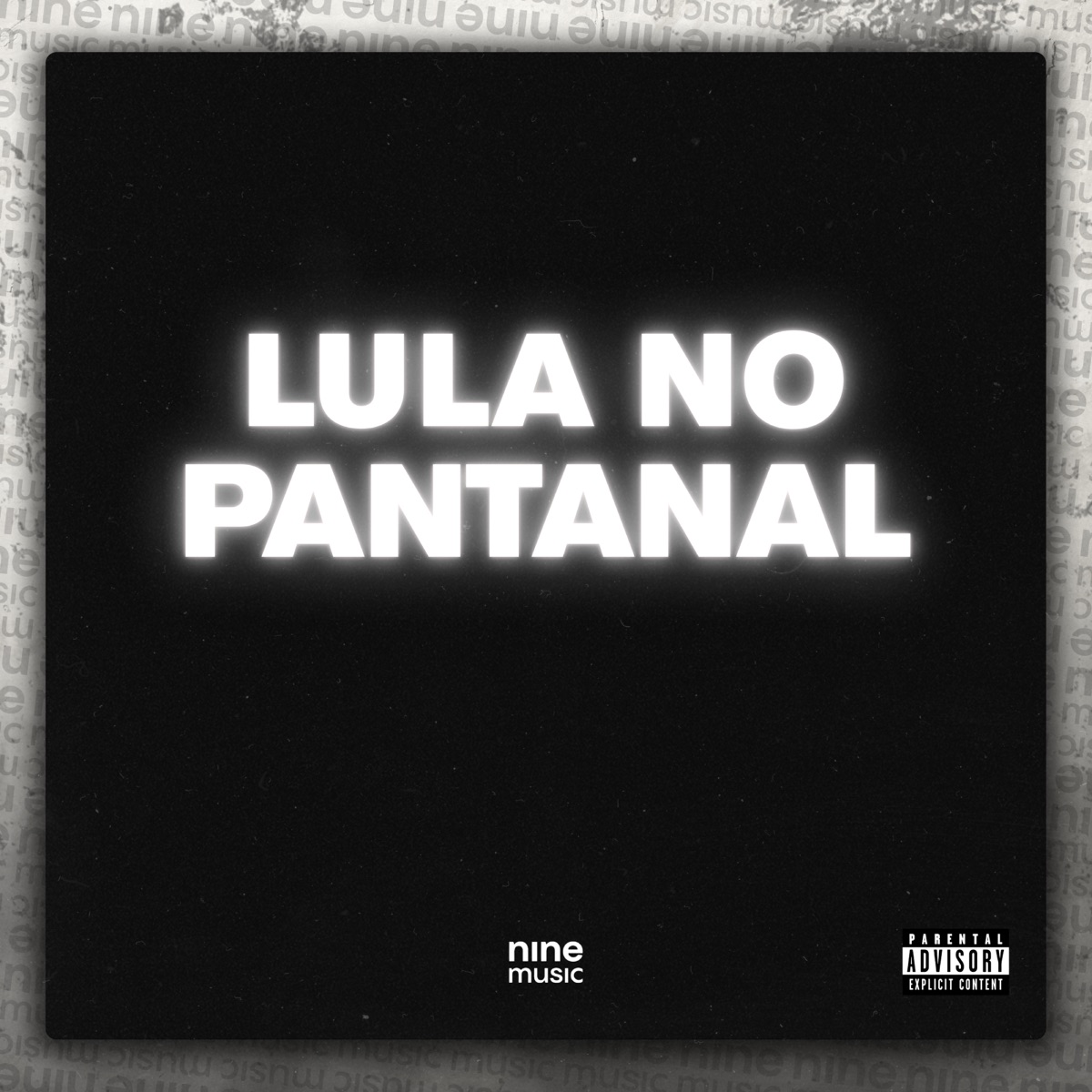 Lula no Pantanal - Single by DJ Igoor, MC Braza & Erickzin album cover