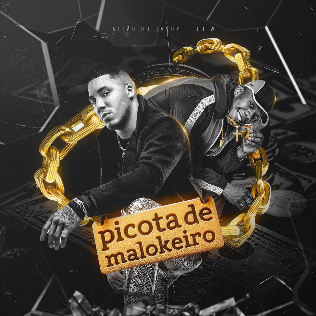 Picota de Malokeiro - Single by Mc Vitão Do Savoy & Djay W album cover