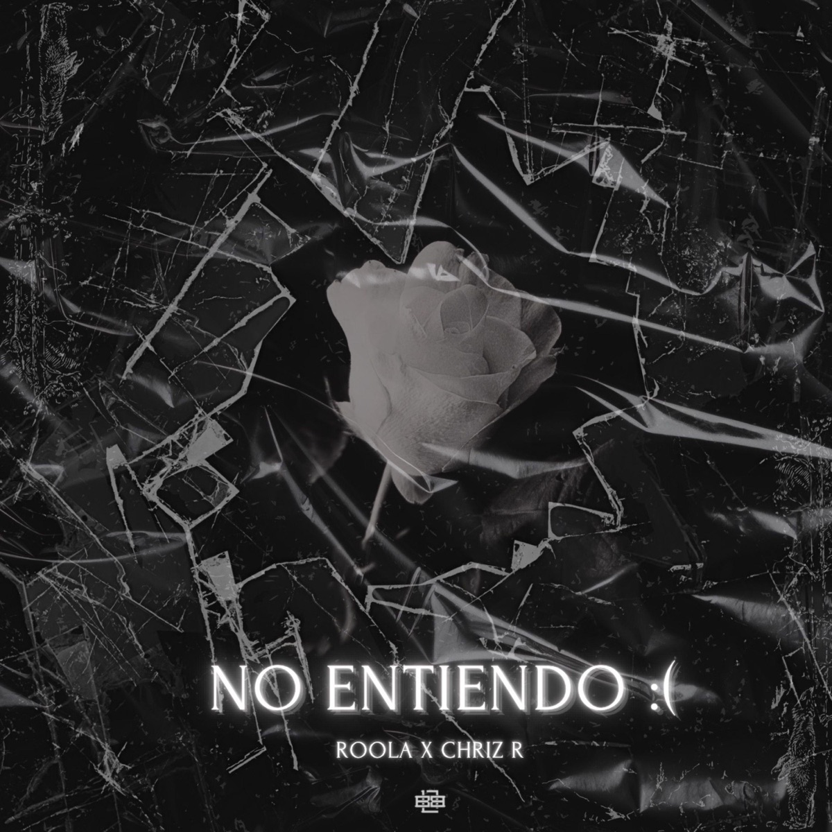 No entiendo:( (feat. Chriz R) - Single by Roola album cover