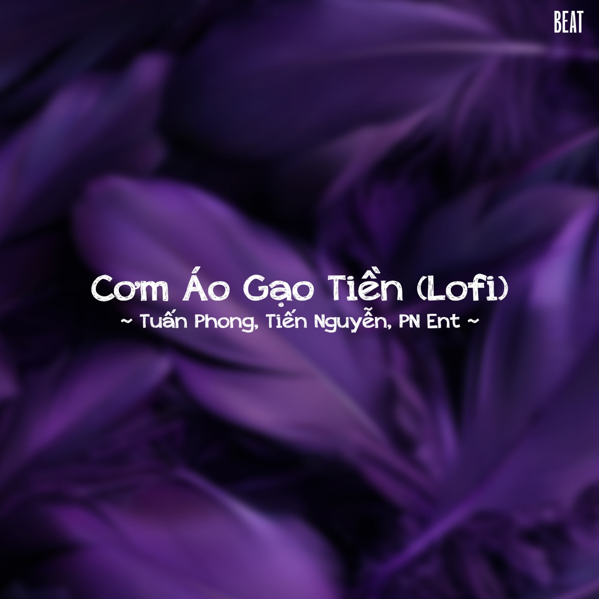 Cơm Áo Gạo Tiền (Beat Lofi) - Single by Tuấn Phong, Tiến Nguyễn & PN Ent album cover
