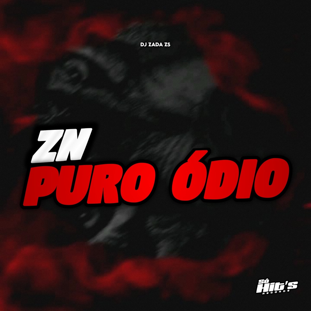 ZN Puro Ódio - Single by DJ ZADA ZS & Só Hits Records album cover