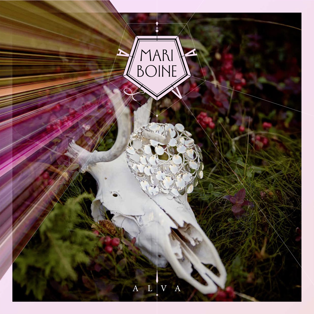 Alva by Mari Boine album cover