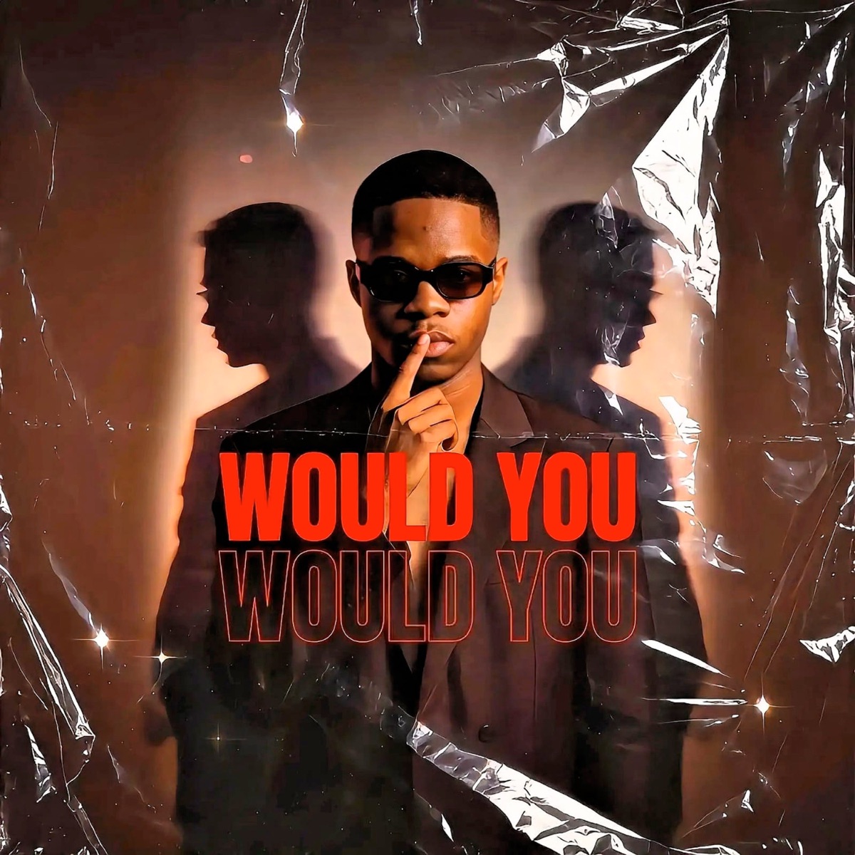 Would You - Single by R_TYLER, MTB_MUVHUSO & DUKI DA baga album cover