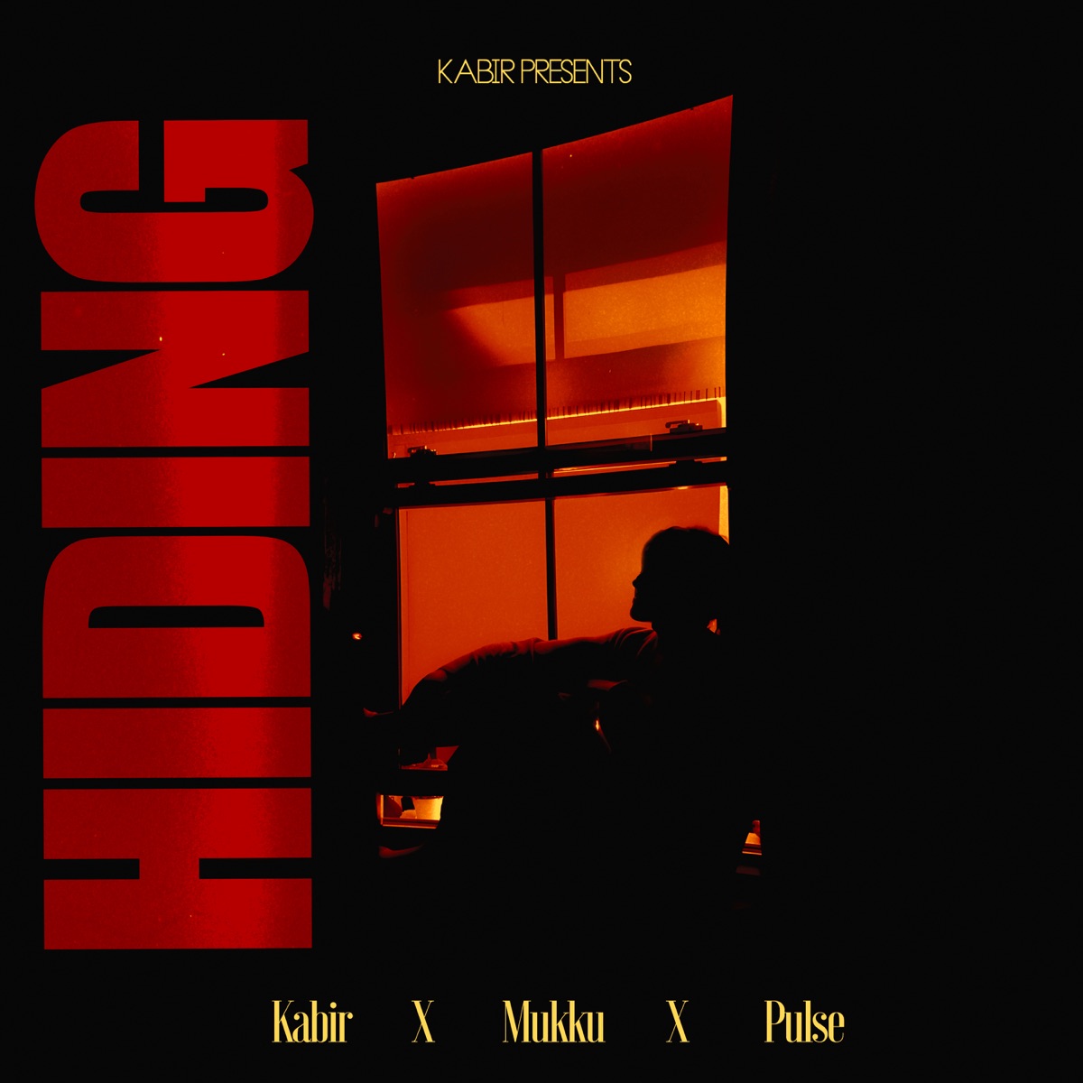 Hiding - Single by Kabir & Mukku album cover