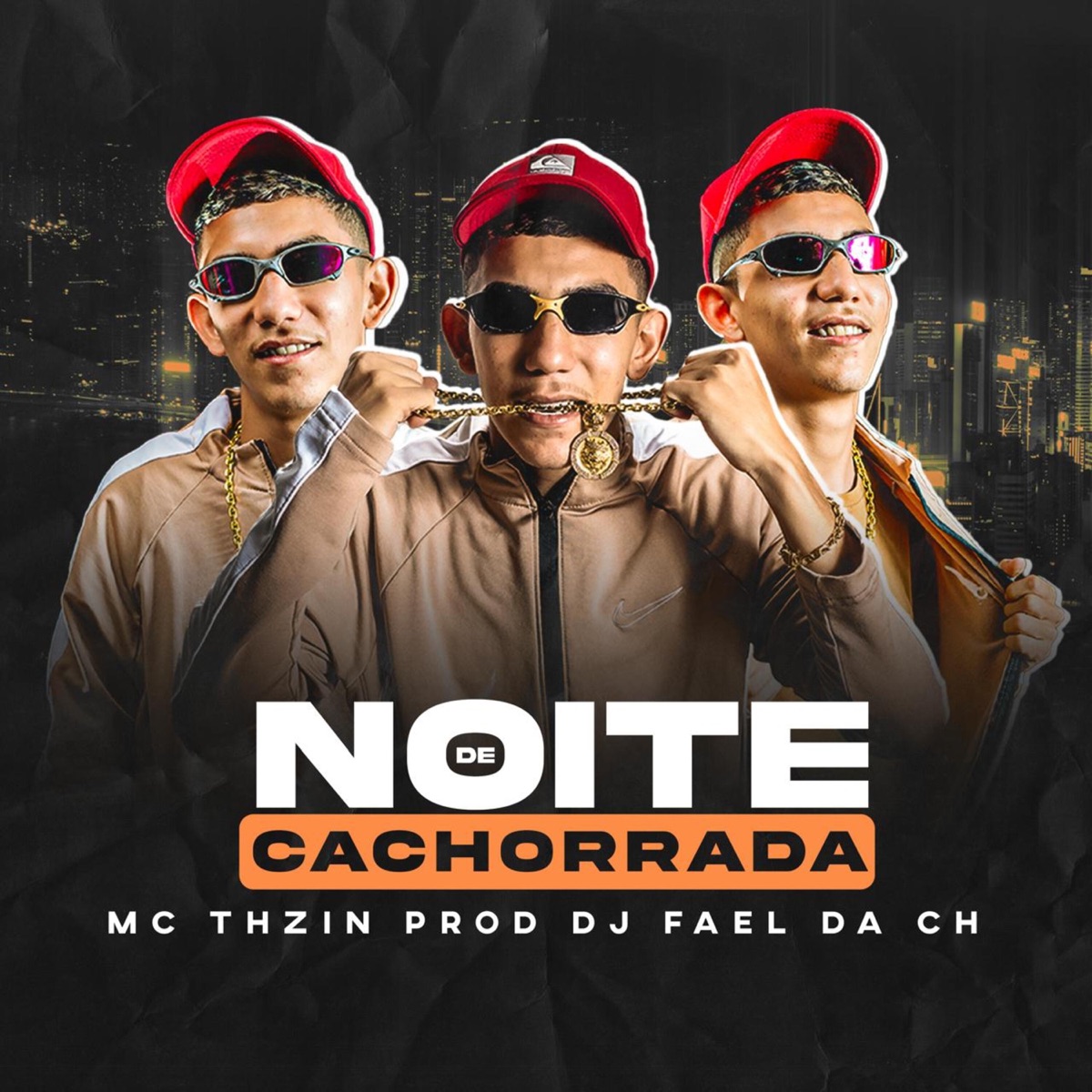 Noite de Cachorrada - Single by MC THZIN FV, Dj fael da ch & DuCerra album cover