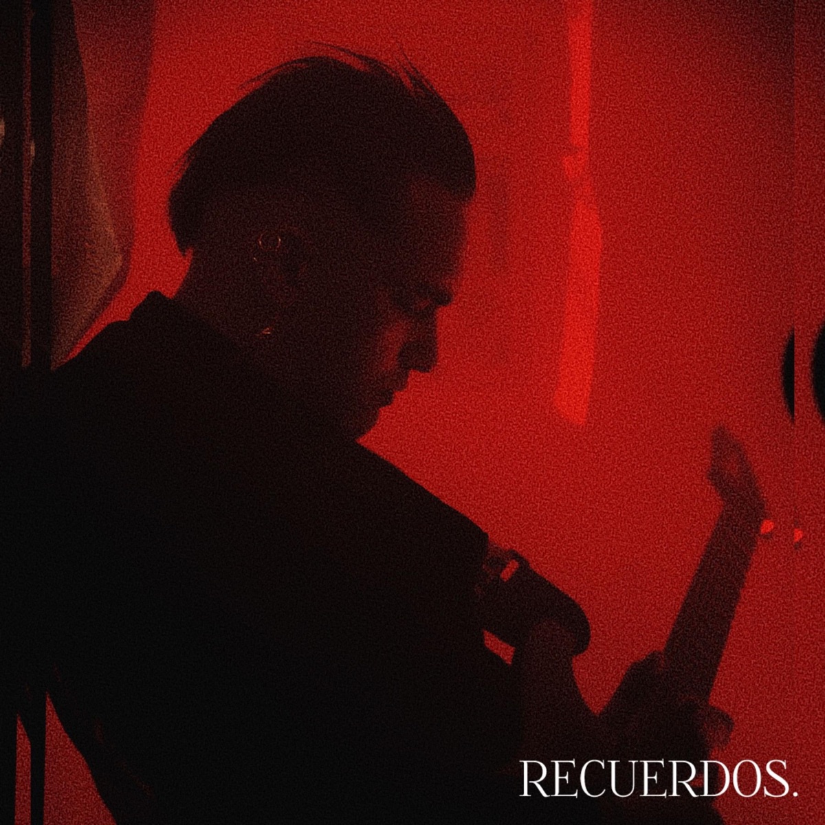 Recuerdos - Single by Terra Stercore album cover