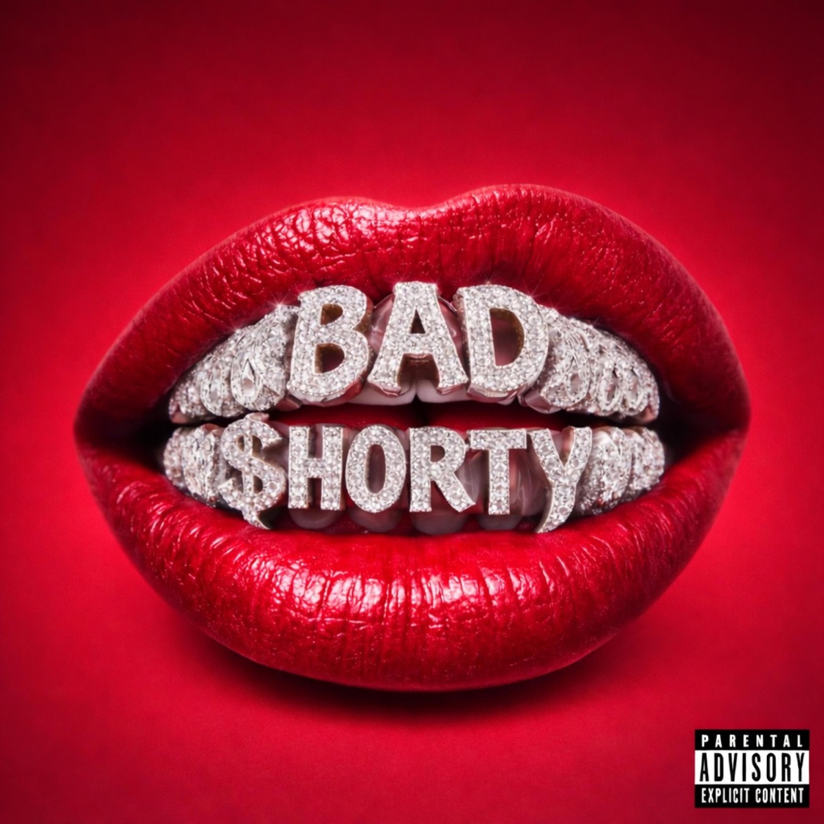 B a d $ h o r t y - Single by Brake album cover