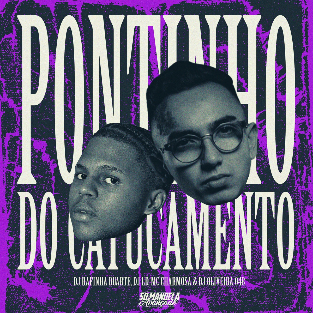 Pontinho do Catucamento - Single by DJ Rafinha Duarte, DJ LD, Mc Charmosa & DJ oliveira 048 album cover