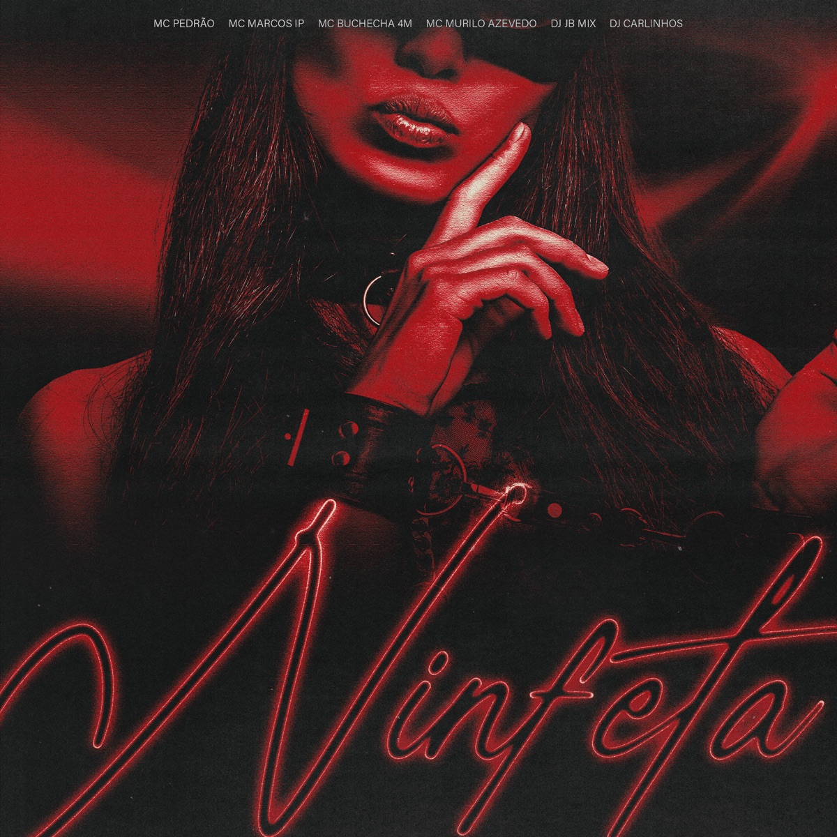 Ninfeta (feat. Mc Pedrão & DJ CARLINHOS) - Single by DJ JB Mix, Murilo Azevedo, Mc Buchecha VM & Mc Marcos IP album cover