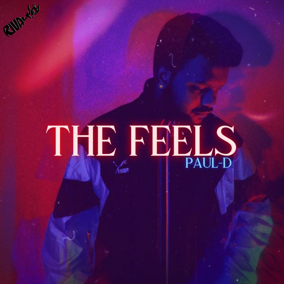 The Feels - Single by Paul-D, Rival Mob & PINTWENTY album cover
