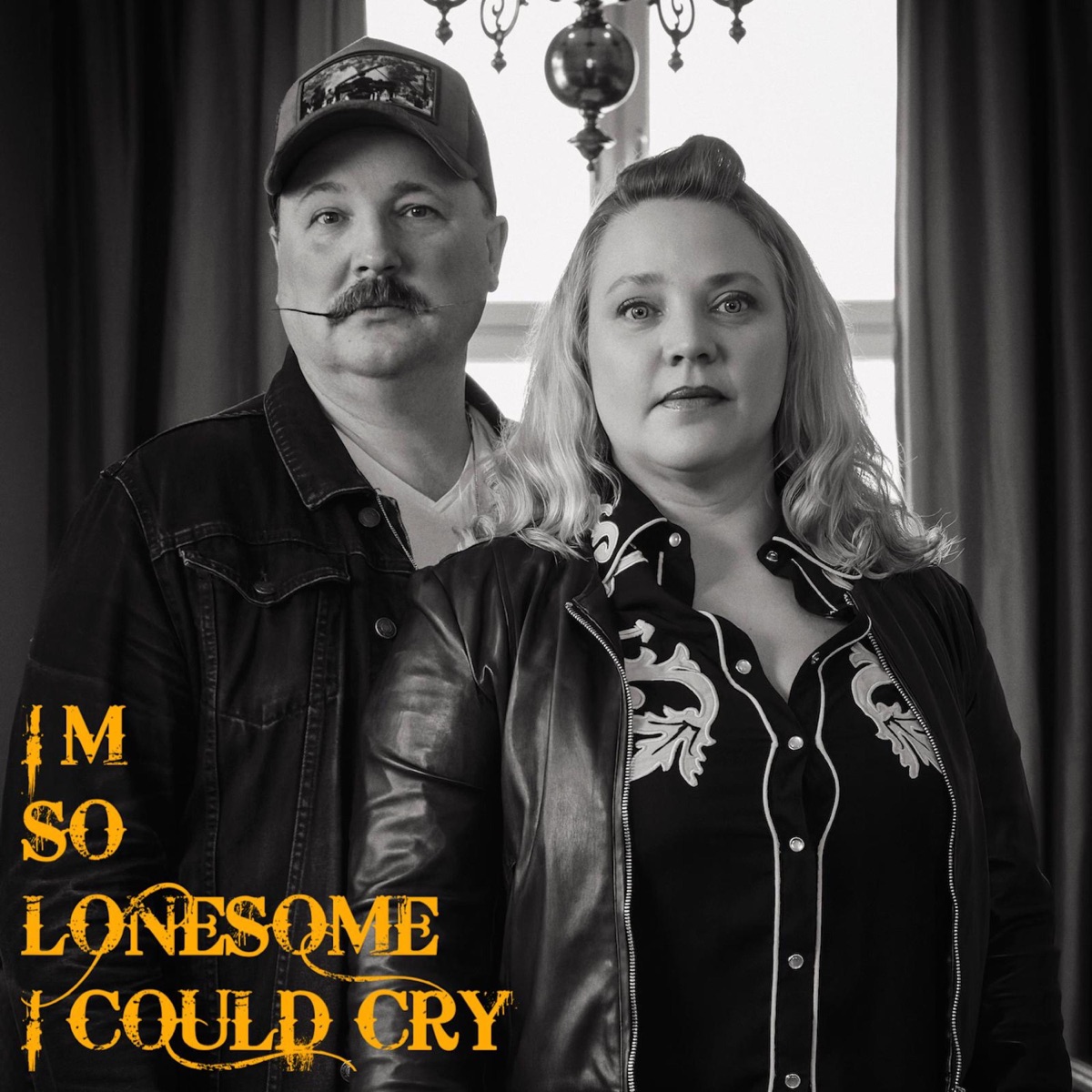 I'm So Lonesome I Could Cry (feat. Vivien Searcy & Andreas Rydman) - Single by Viv&Andy album cover