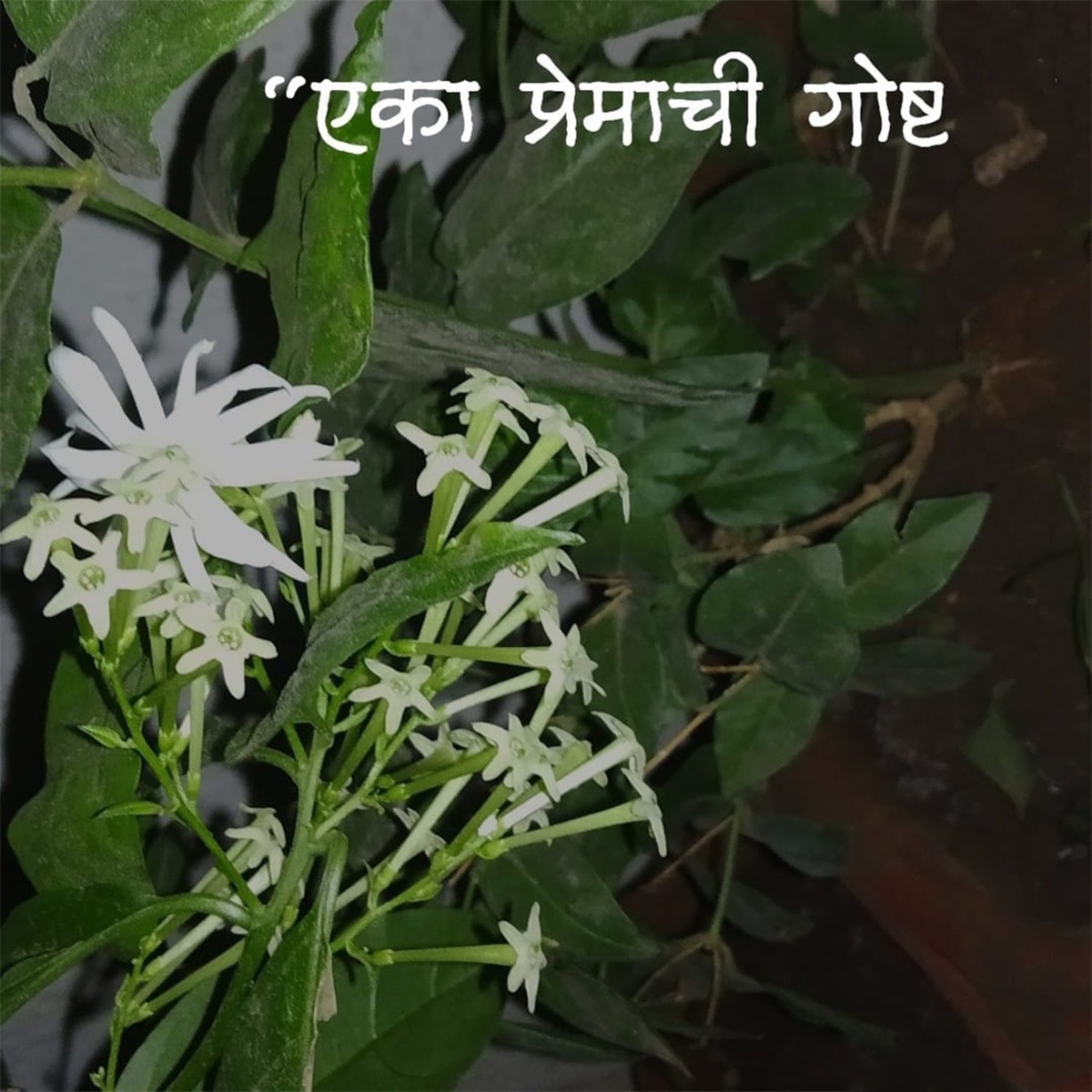 Eka Premachi Gosht - EP by Prasad Shirsath album cover