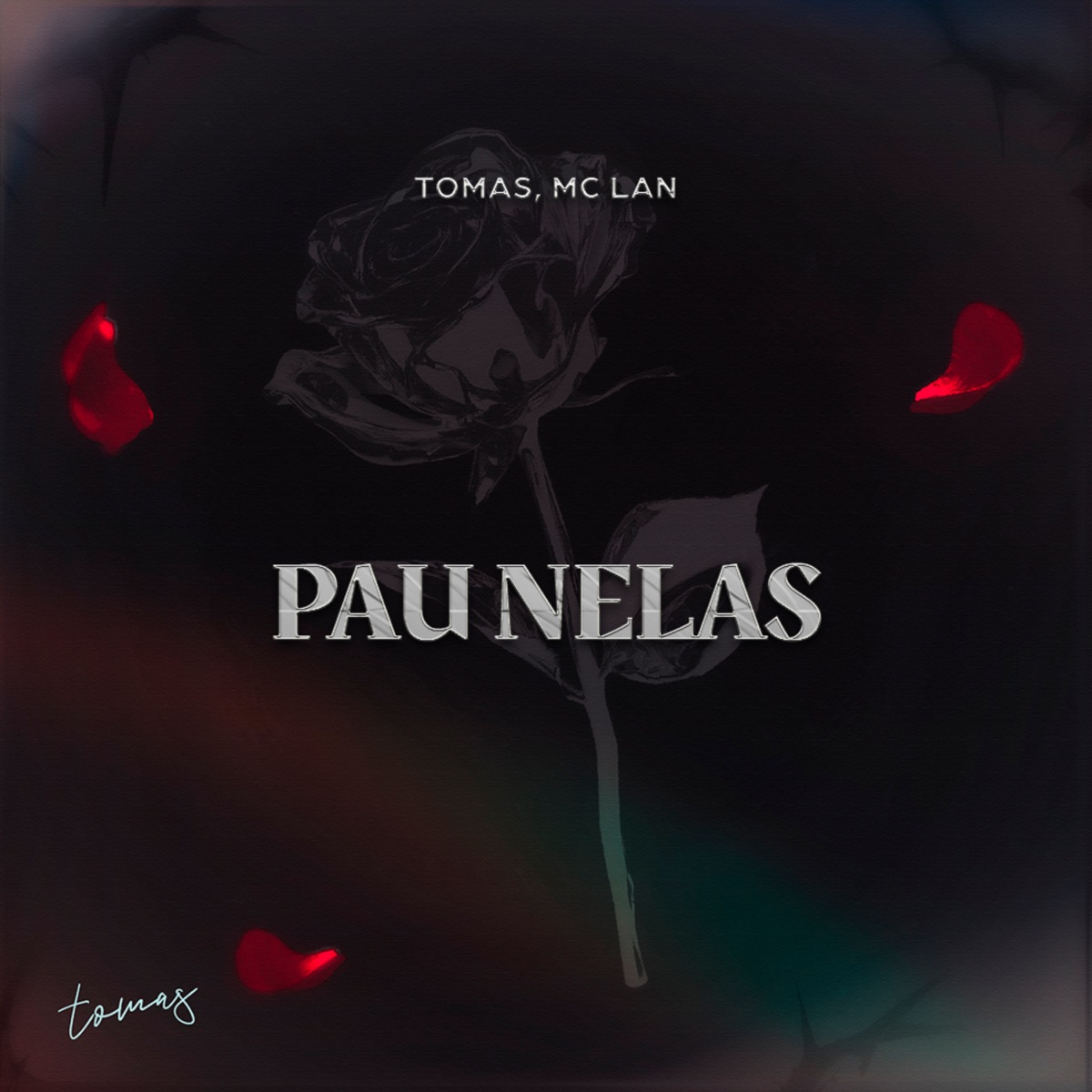 Pau Nelas (feat. MC Lan) - Single by TOMAS album cover
