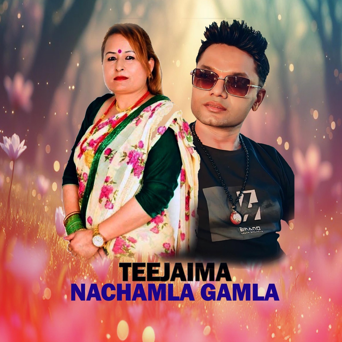 Teejaima Nachamla Gamla (feat. Pashupati Sharma) - EP by Phul Maya Kc album cover