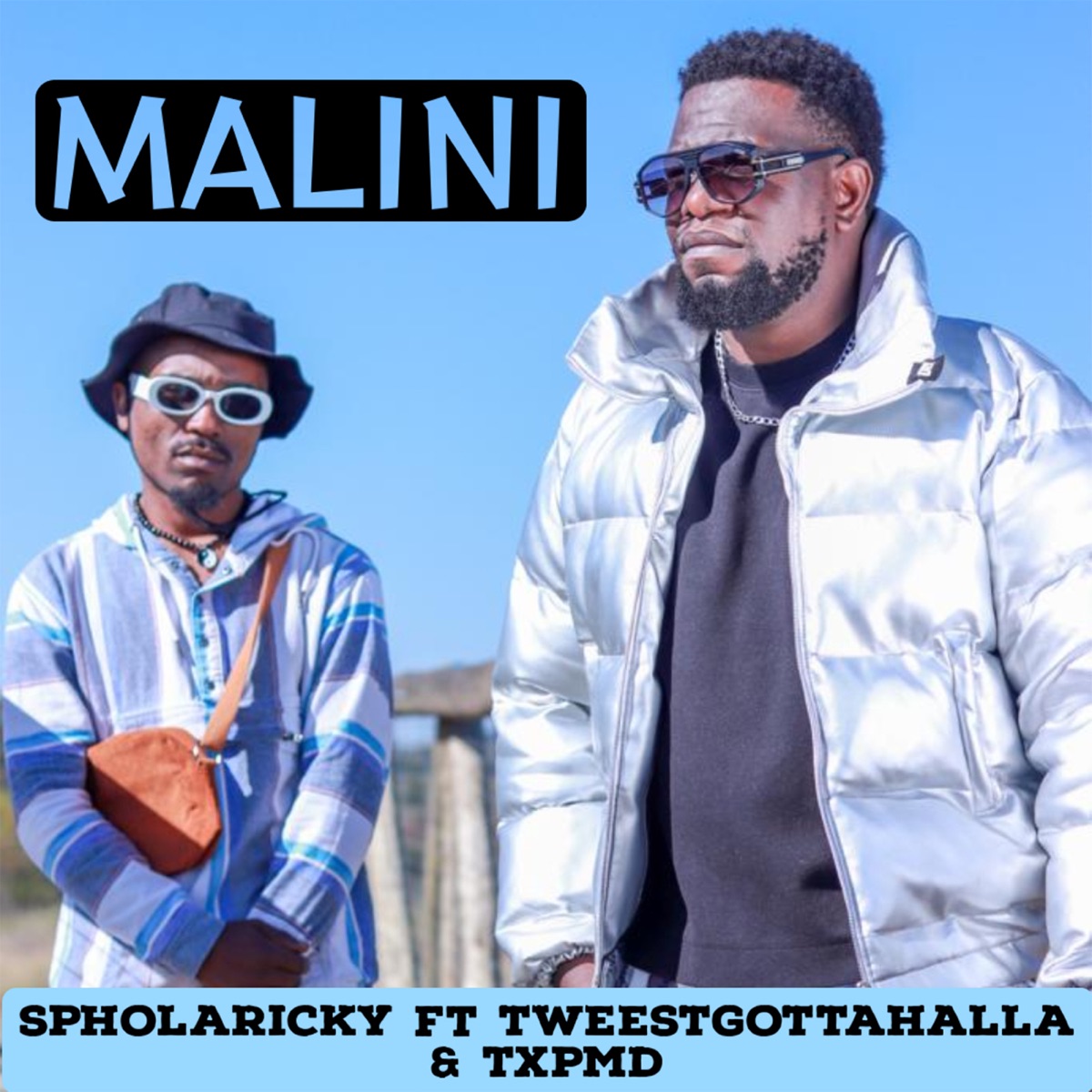 Malini (feat. TxPMD & Tweestgottahalla) - Single by SpholaRicky album cover