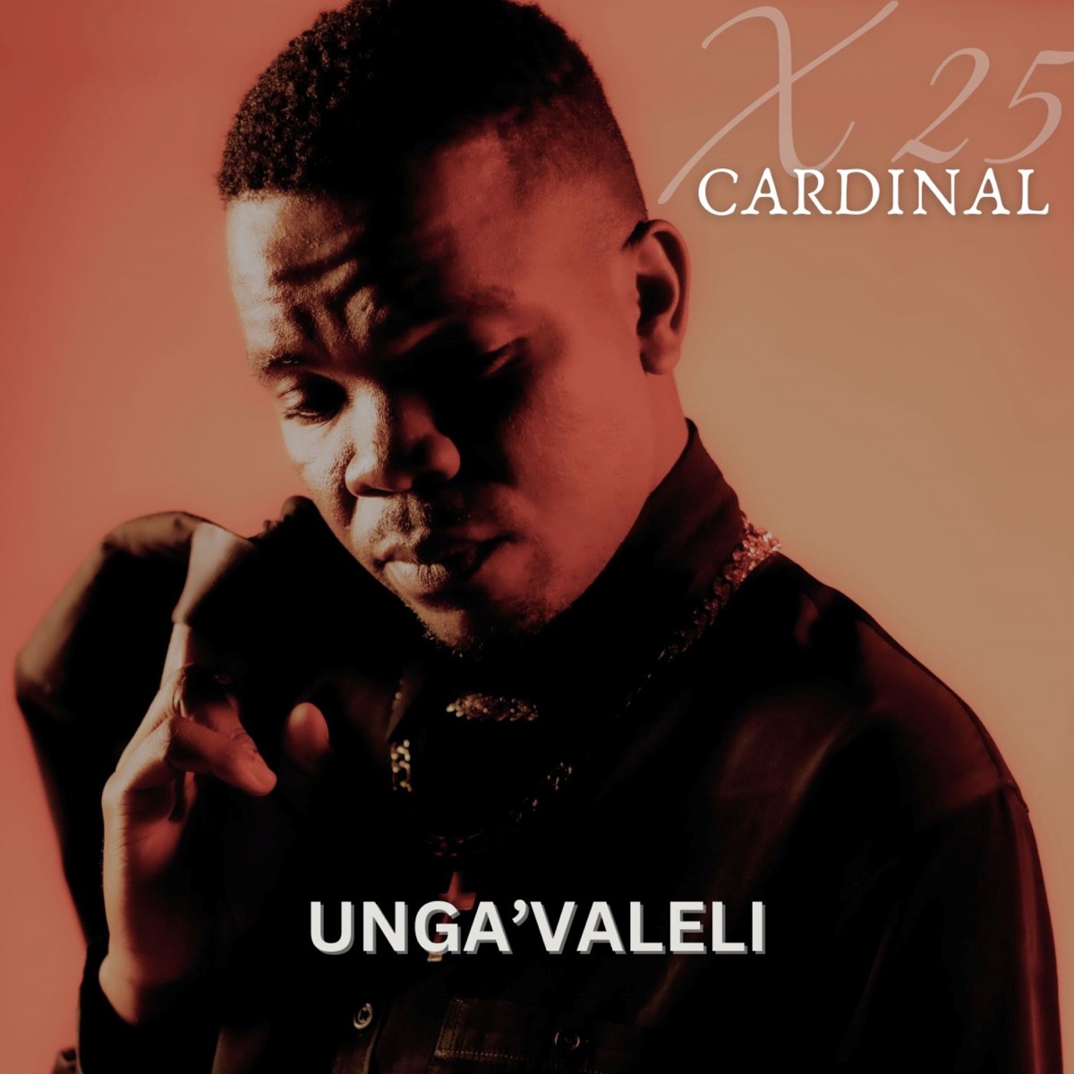 Unga'valeli (feat. EugeCube, Csiie & Sanelee) - Single by Cardinal X25 album cover