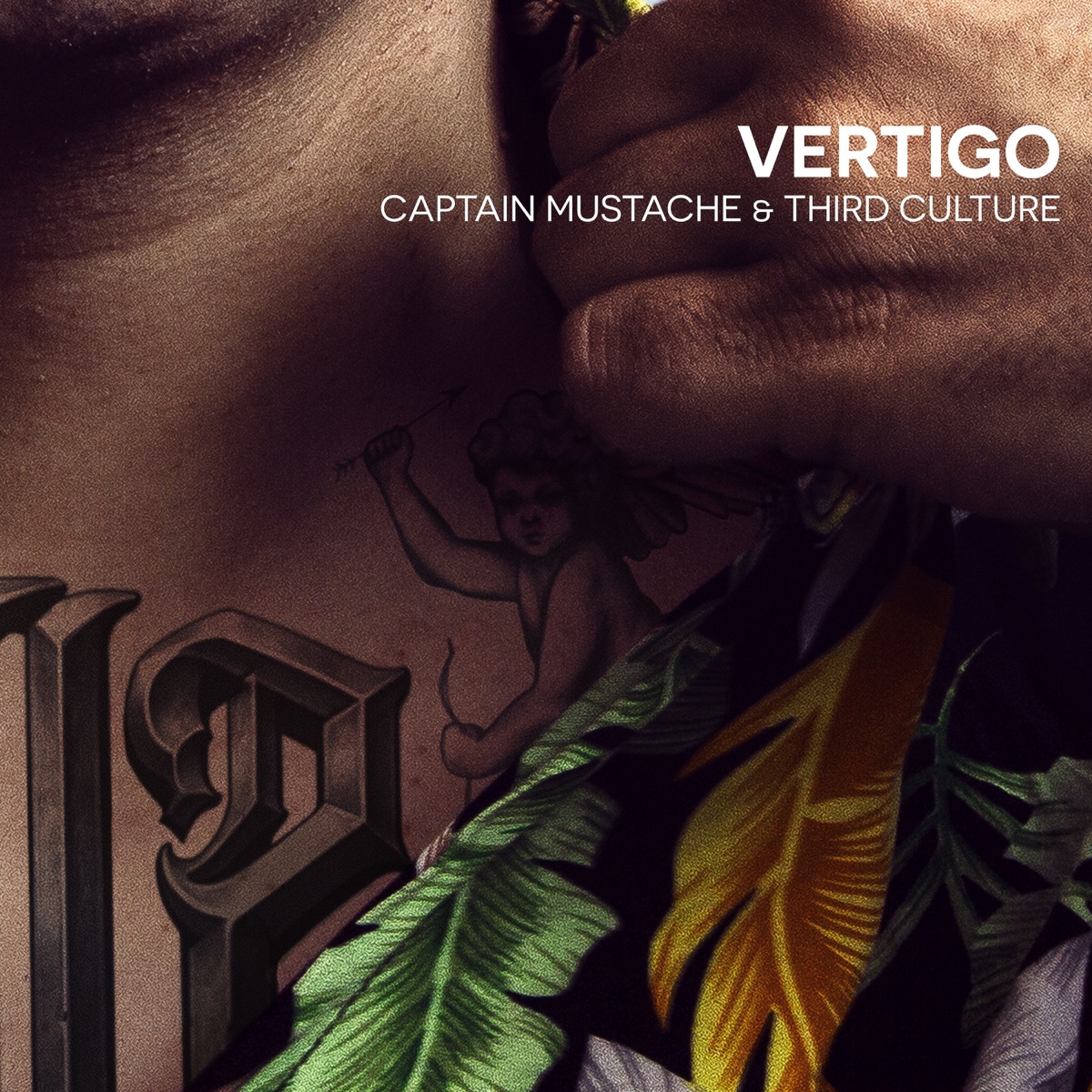 Vertigo - Single by Captain Mustache & Third Culture (USA) album cover