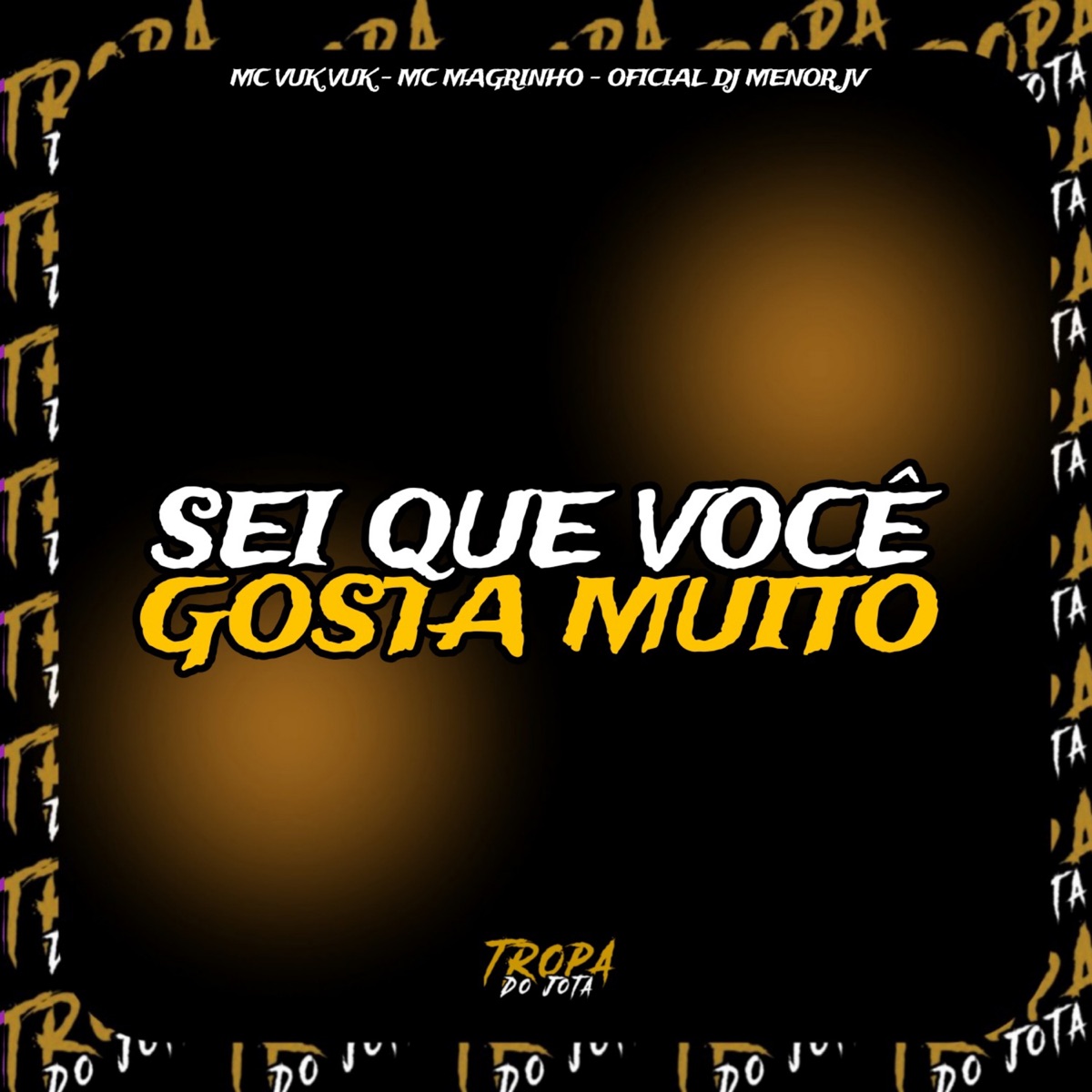 Sei Que Você Gosta Muito (feat. DJ PAAK SP & DJ Dan zs) - Single by Oficial DJ Menor JV, Mc Vuk Vuk & Mc Magrinho album cover