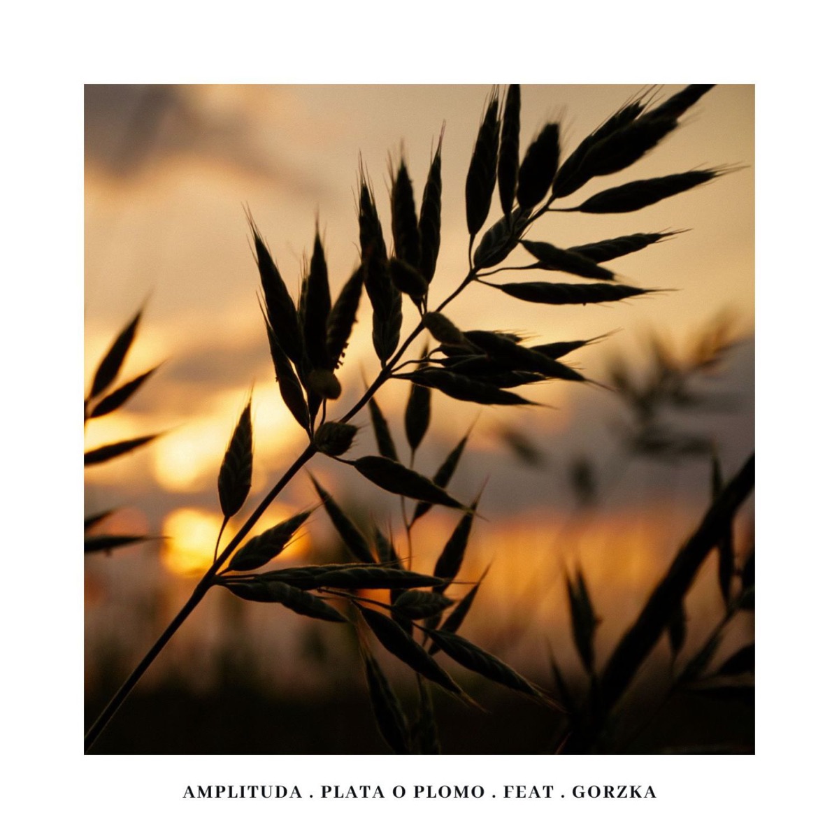 Plata o Plomo - Single by Amplituda album cover
