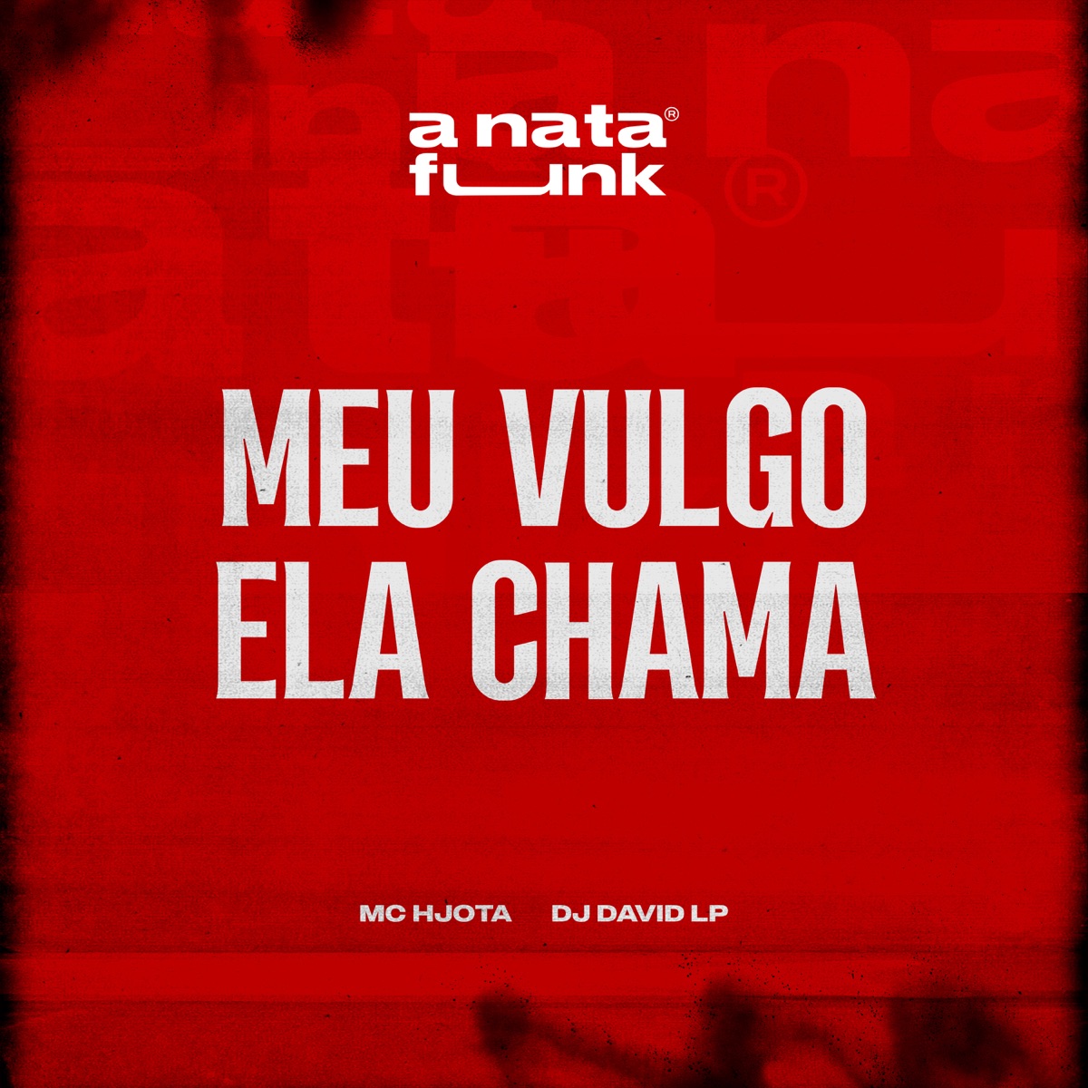 Meu Vulgo Ela Chama - Single by Mc Hjota, DJ David LP & A Nata Funk album cover