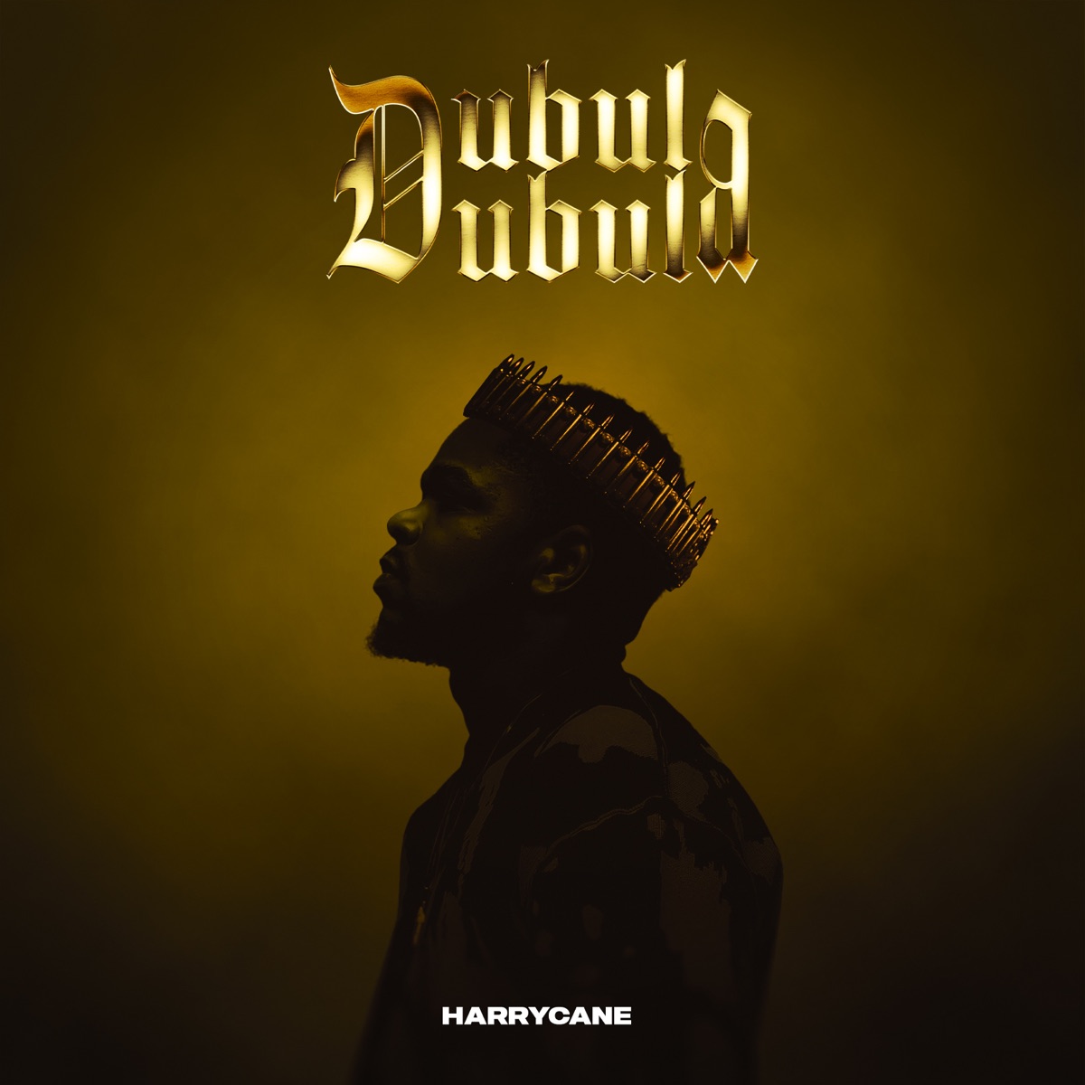 Dubula Dubula by Harrycane album cover