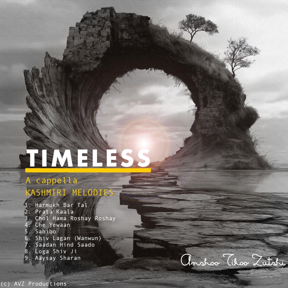 TIMELESS (Acappella Edit) by Anshoo Tikoo Zutshi album cover