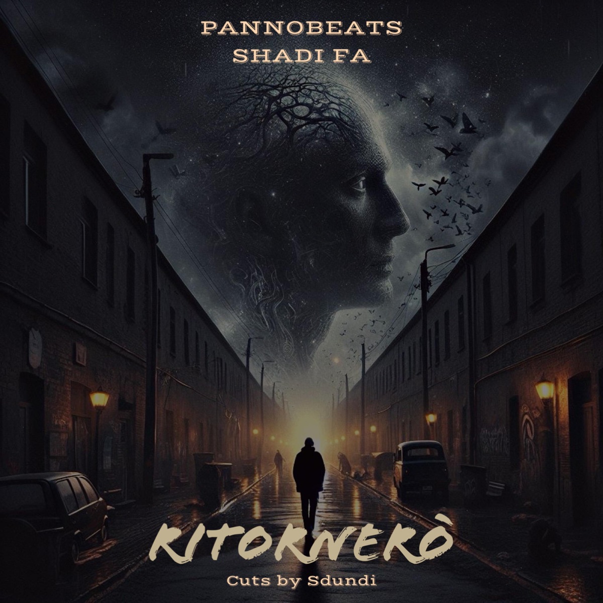 Ritornerò (feat. Sdundi) - Single by Pannokia & Shadi Fa album cover