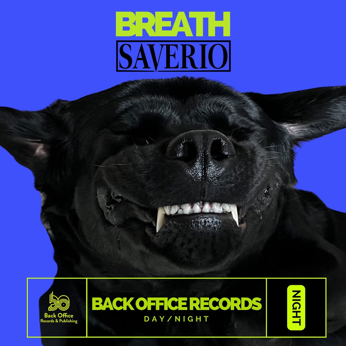Breath - Single by Saverio album cover