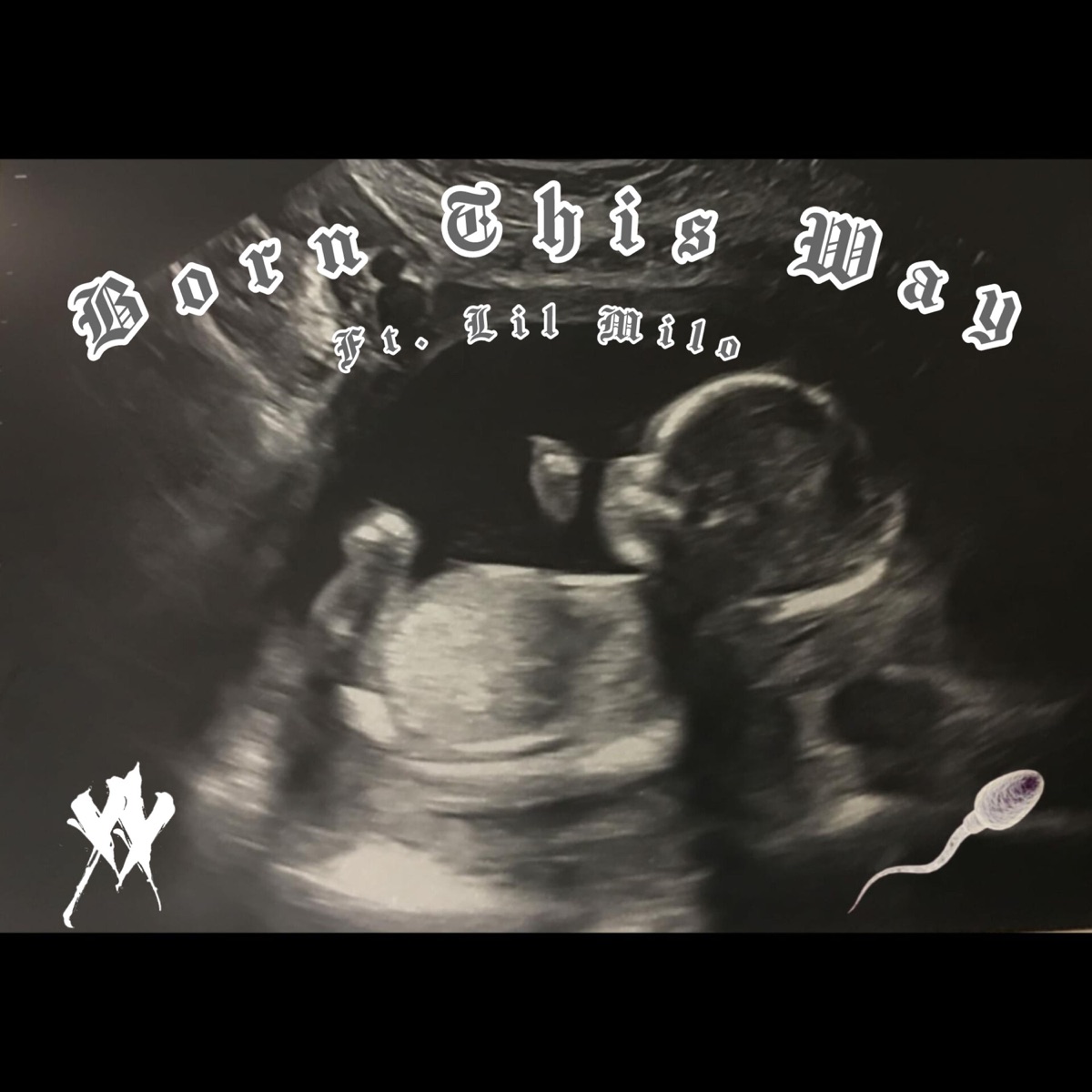Born This Way (feat. Lil Milo G & Sour Bizel Beats) - Single by AWAXX$ album cover
